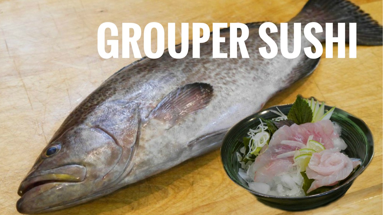 Grouper Sushi Sashimi Scamp