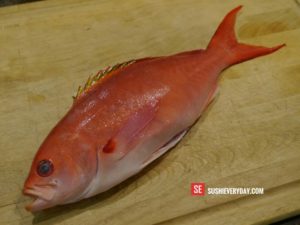 Creole Snapper for sushi and sashimi