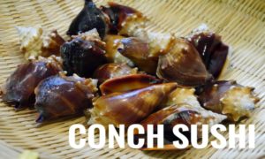 Fighting Conch for Sushi