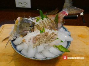 Knobbed Porgy Sashimi