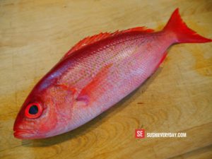 Vermilion Snapper (Beeliner) for sushi and sashimi