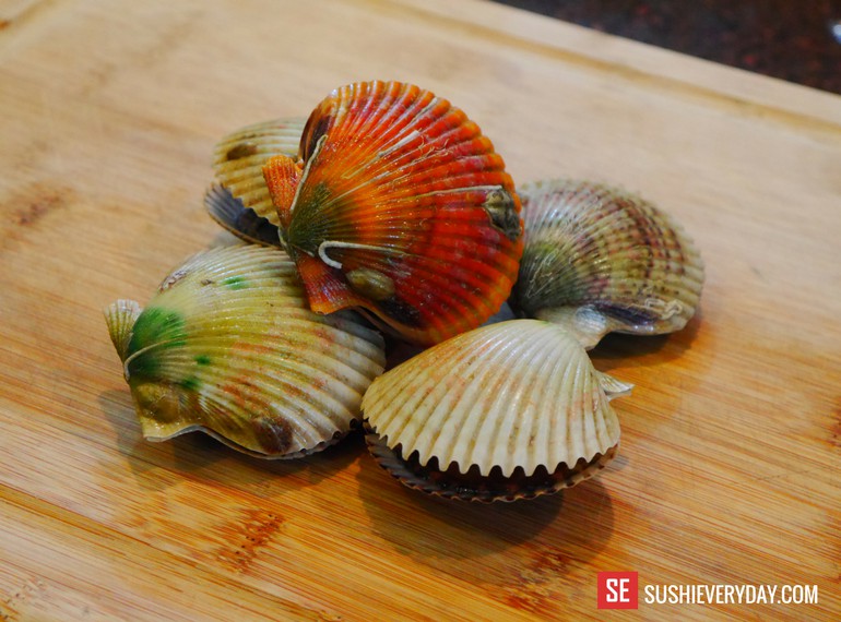 Live Bay Scallop From Florida