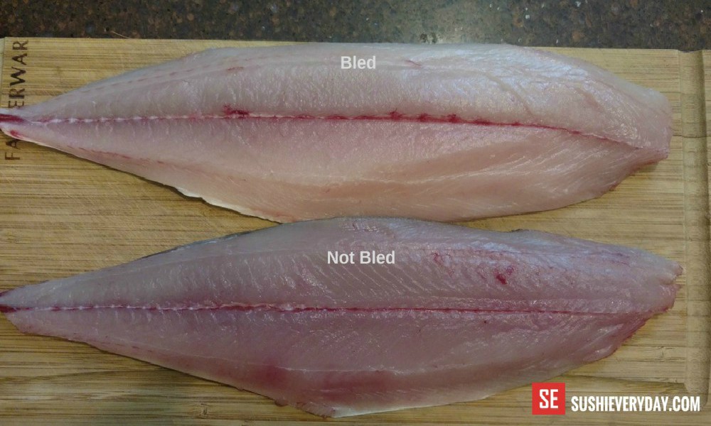 Difference between bled and not bled fish.