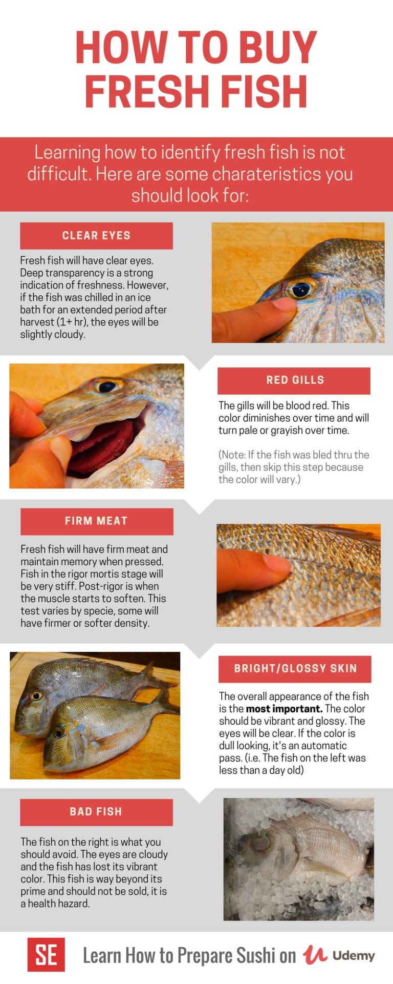 how-to-buy-fresh-fish-sushi-everyday